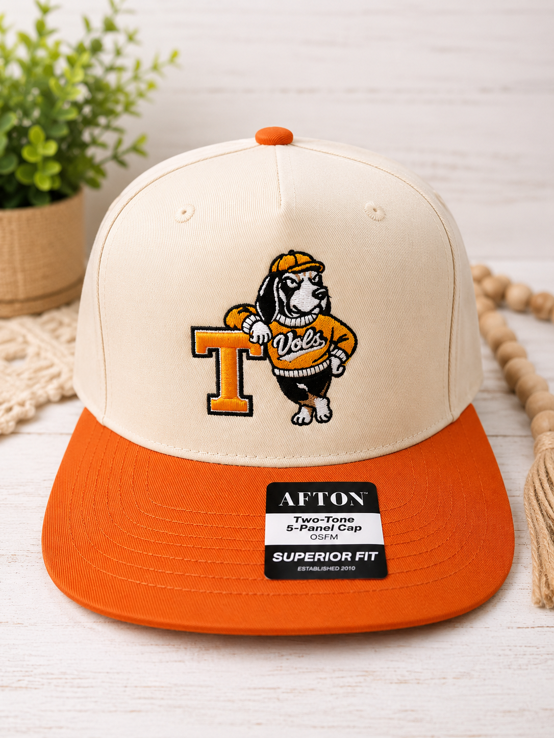 Vintage TN 3D Mascot